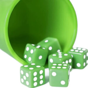 Fitness Dice Workout Game