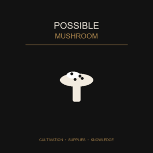 Possible Mushroom - Crop Hoodie