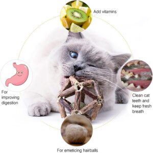 Silvervine Catnip Ball Toy Set - Natural Cat Toys