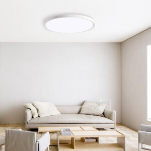 Ultra-Thin LED Ceiling Light - 6500K Flush Mount