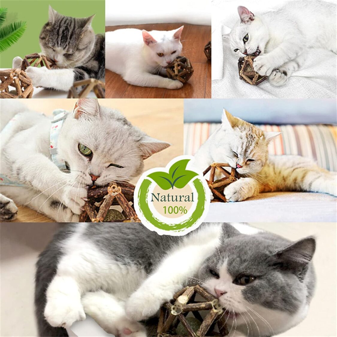 Silvervine Catnip Ball Toy Set - Natural Cat Toys - Image 5